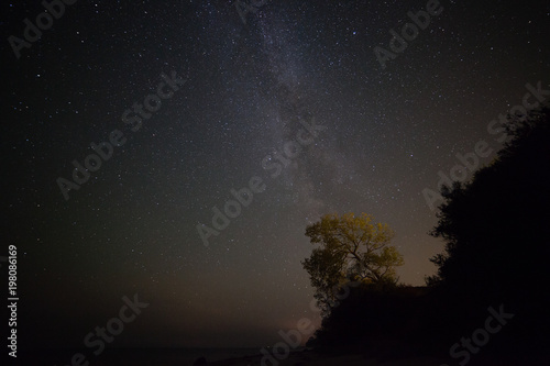 Milky way over the coast in Denmark over a lit tree
