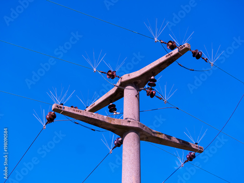 Strommast mit besonderen Isolatoren photo