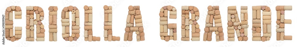 Grape variety Criolla Grande made of wine corks Isolated on white background