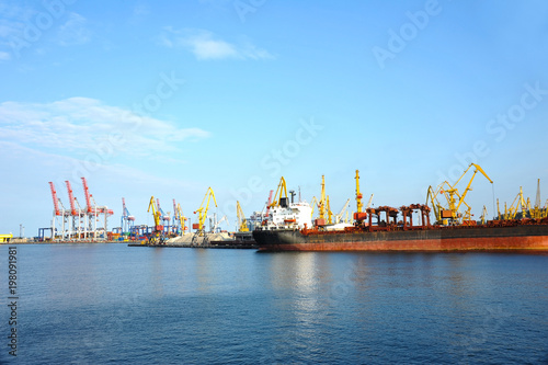 Bulk cargo ship under port crane © Unkas Photo