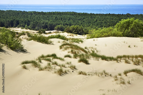 Tableau sur toile Dunes at Curonian Spit. Kaliningrad Oblast. Russia