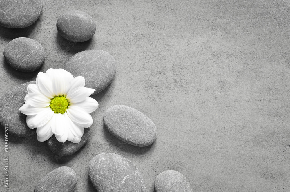 Set of white flower on pebble Set of white flower on pebble