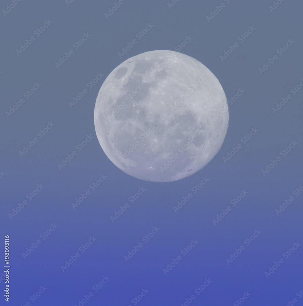 Birds and moon landscape Birds and moon landscape