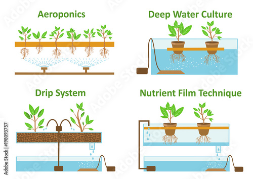 Set of aeroponic and hydroponic plant growth systems.Color vector illustration photo