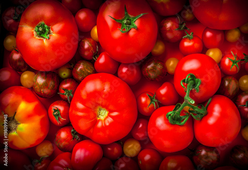 Tomatoes large colorful mix natural look overhead background in studio