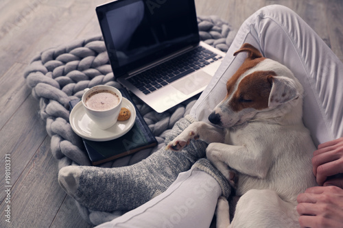 Woman in cozy home wear relaxing at home ,drinking cacao, using laptop. Soft, comfy lifestyle. photo