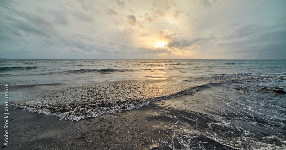 Fototapeta premium The show of the sea moved among the algae