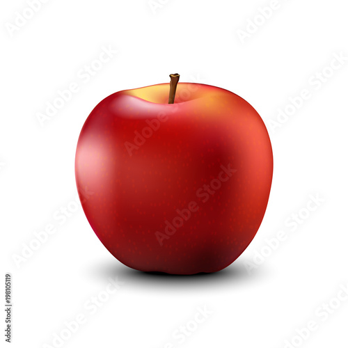 Red apple realistic detailed. Vector.