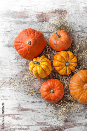 Pumpkins colorful overhead arrangement on straw and white rustic wooden table in studio