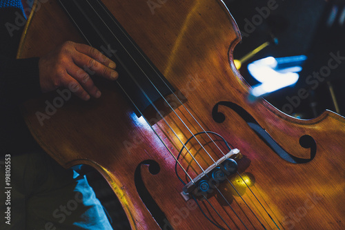 Canvas Print live concert: jazz double bass player, detail on the hands that pinch the string