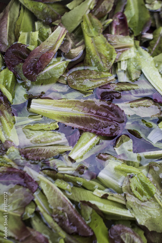 Greens being washed after being harvested on urban farm.