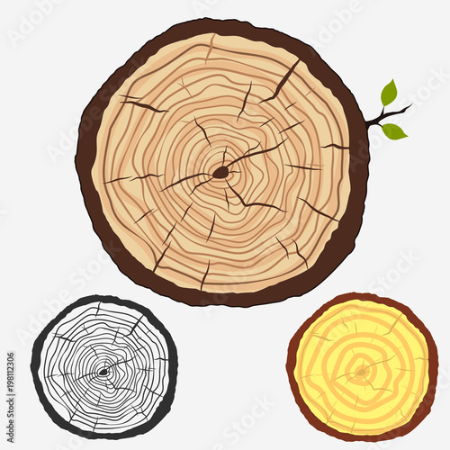 Tree rings, cut stump with forest trees. vector