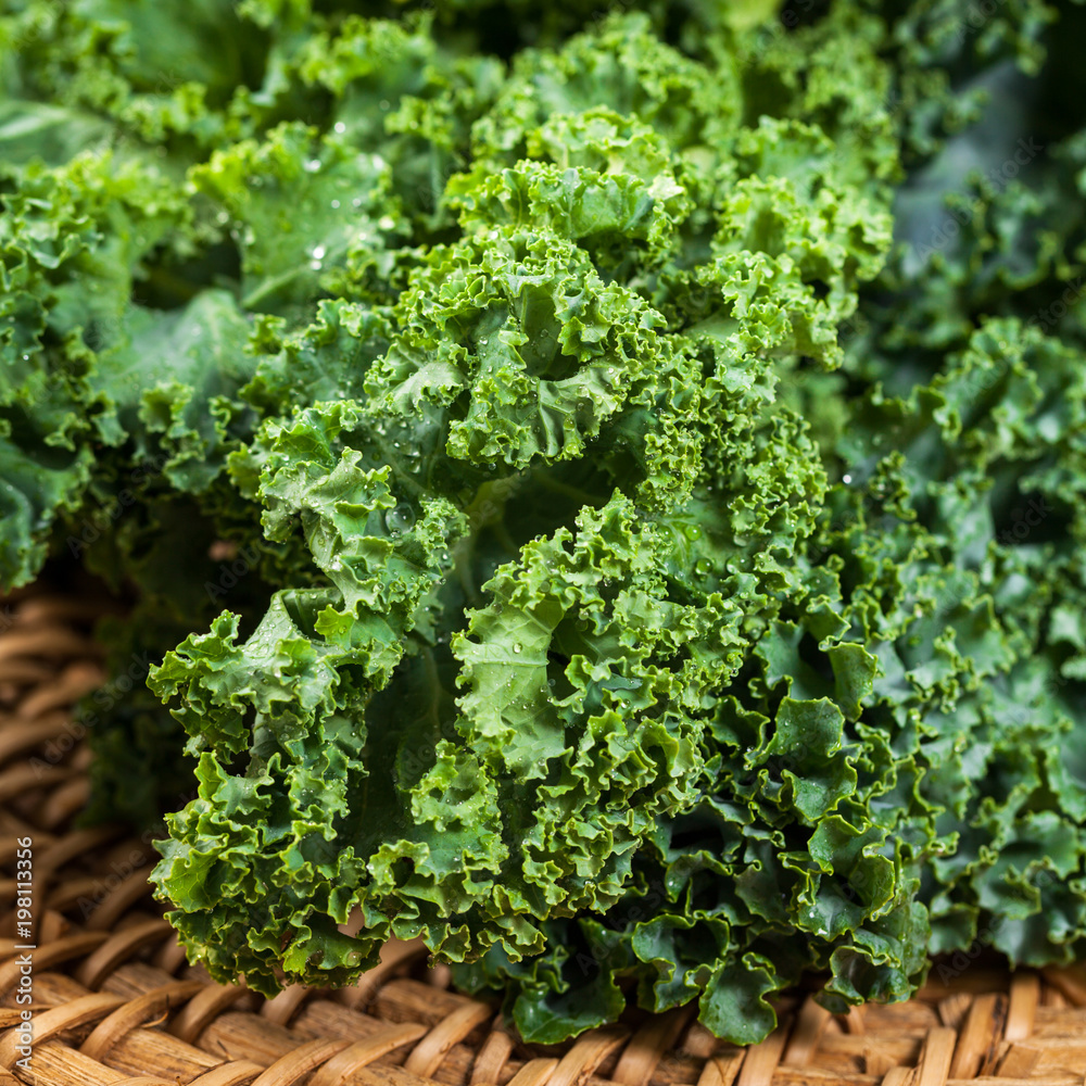 Kale or Leaf Cabbage. Selective focus. Kale or Leaf Cabbage. Selective focus.