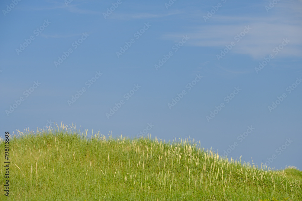 The grass covered dunes in and around Cavendish Prince Edward Island The grass covered dunes in and around Cavendish Prince Edward Island