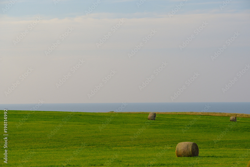 Obraz premium Fertile farms and large hay bales sit at the edge of the land on Prince Edward Island