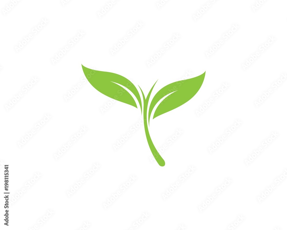 green leaf ecology nature element green leaf ecology nature element
