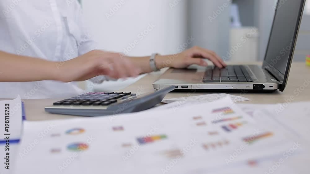 Business Woman Inputing Financial Data In Laptop Business Woman Inputing Financial Data In Laptop