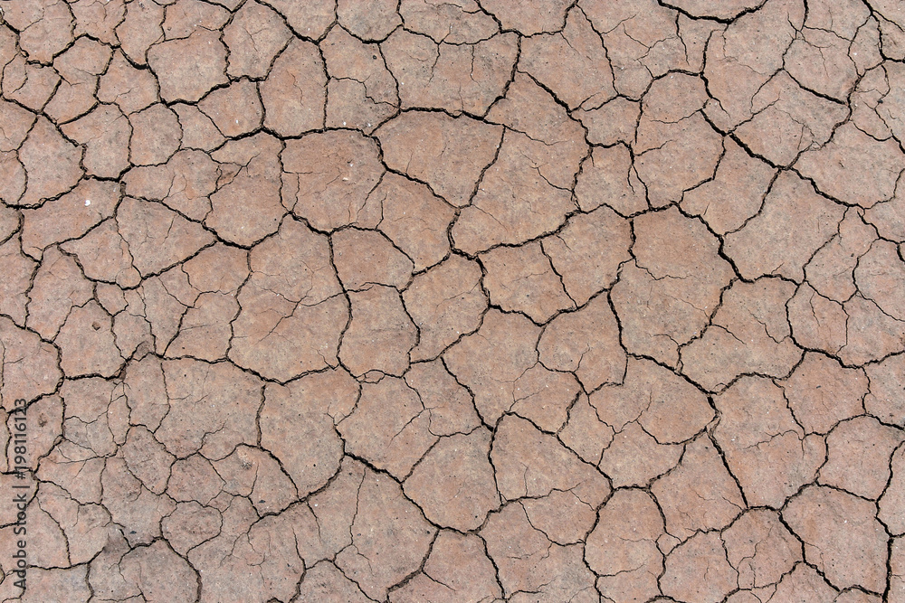 Cracked and dried mud backgroud Cracked and dried mud backgroud