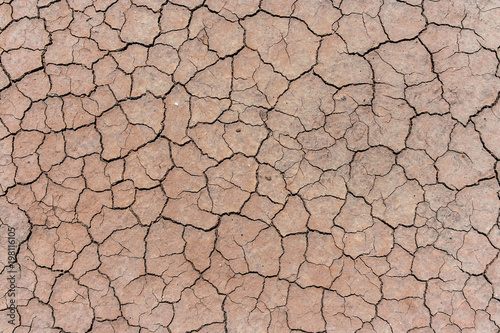 Cracked and dried mud background