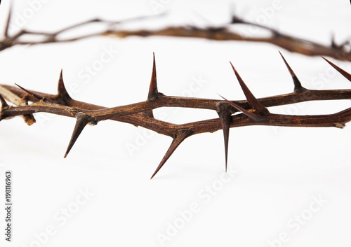 Crown of thorns isolated on white background, copy space (religion, Christianity, faith concept)