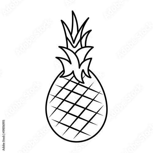 pineapple fruit nutrition diet fresh healthy lifestyle  vector illustration outline design