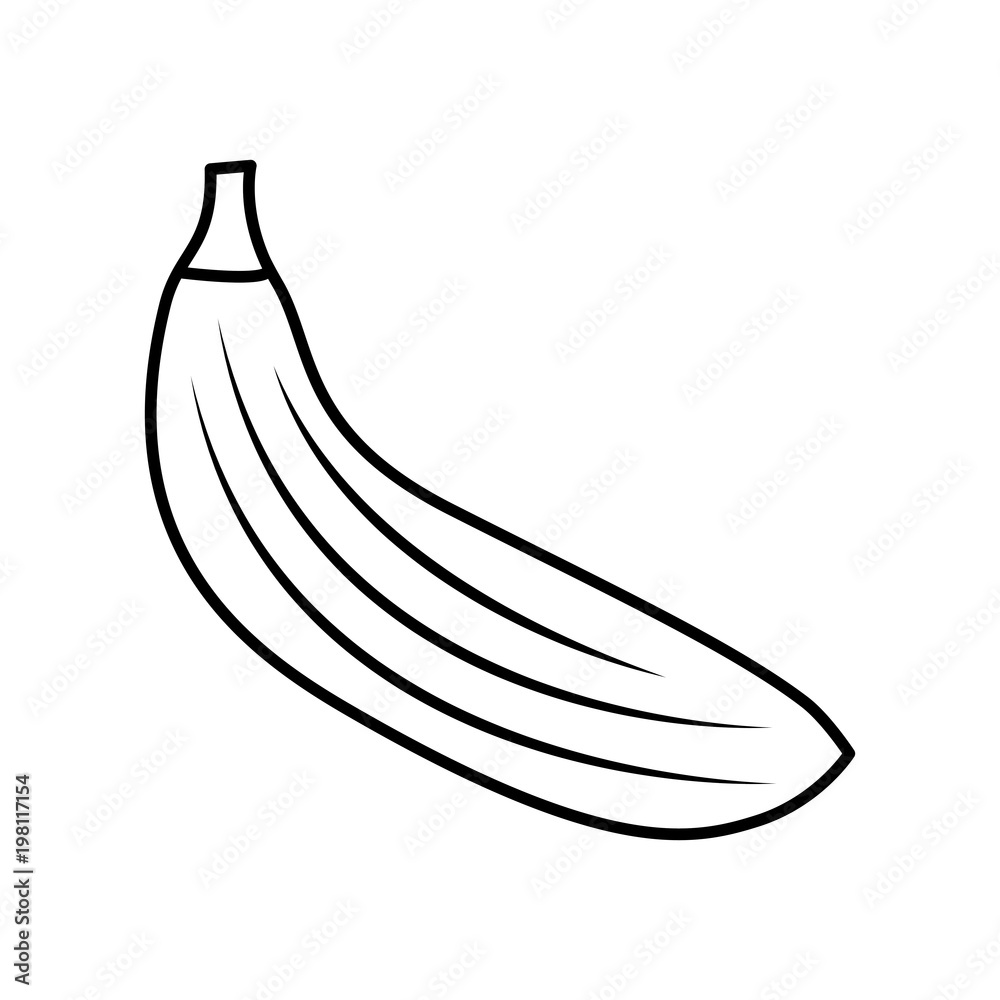 banana fruit nutrition diet fresh healthy lifestyle vector illustration outline design banana fruit nutrition diet fresh healthy lifestyle vector illustration outline design
