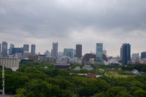 Tokyo Skyline (cityscape): Gigantic modern skyscrapers / highrise buildings of Japan's largest city with a lush green inner city park and a cloudy sky showing the symbiosis of technology and nature