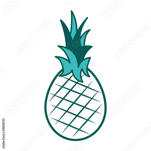pineapple fruit nutrition diet fresh healthy lifestyle vector illustration green image