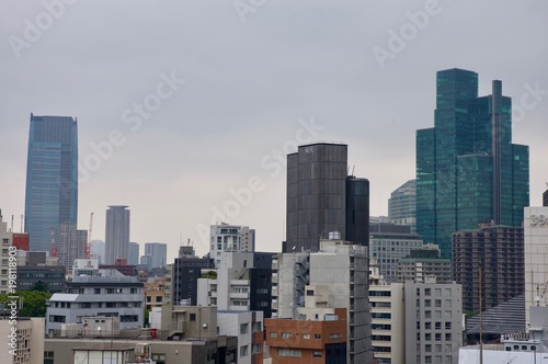Scenic view of the Tokyo skyline (cityscape): Gigantic modern skyscrapers / highrise buildings of Japan's largest city for businesses and technology as well as residential architecture