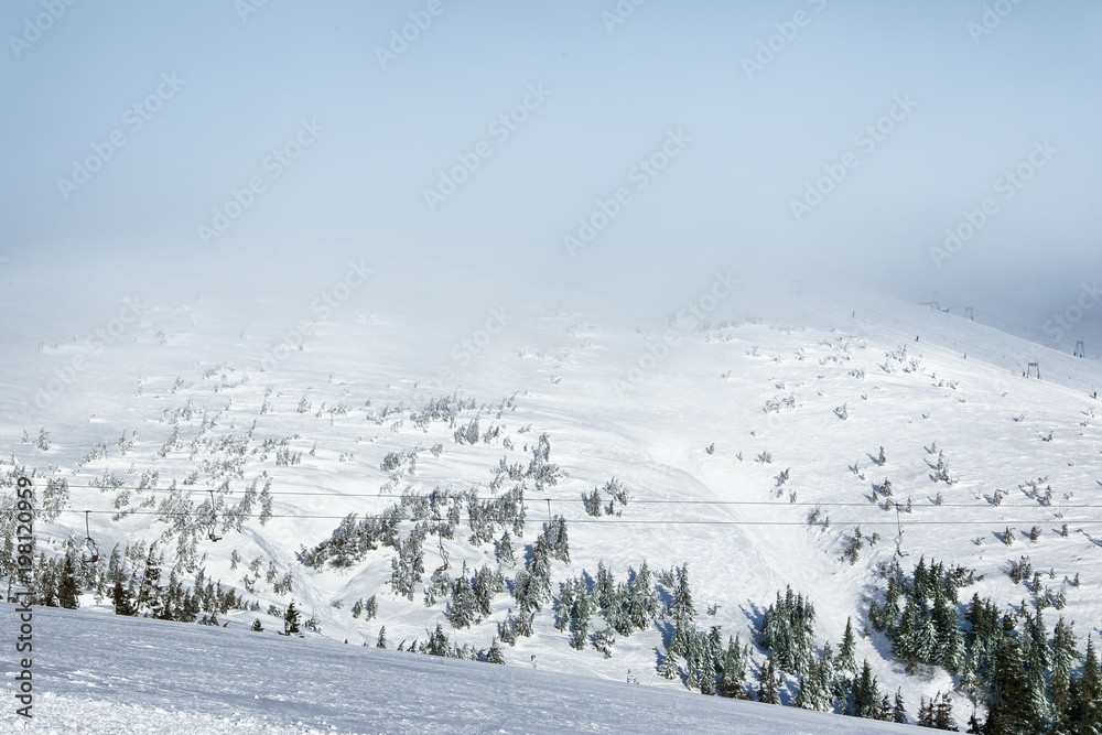 Obraz premium Ski slope at snowy resort on winter day