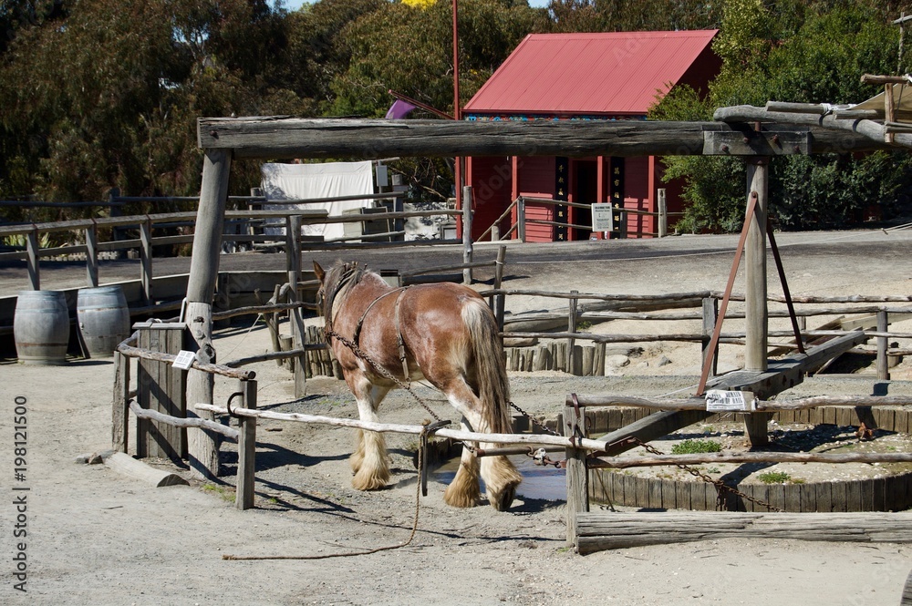 Horse power A horse doing the labor for us humans. Remembrance of the