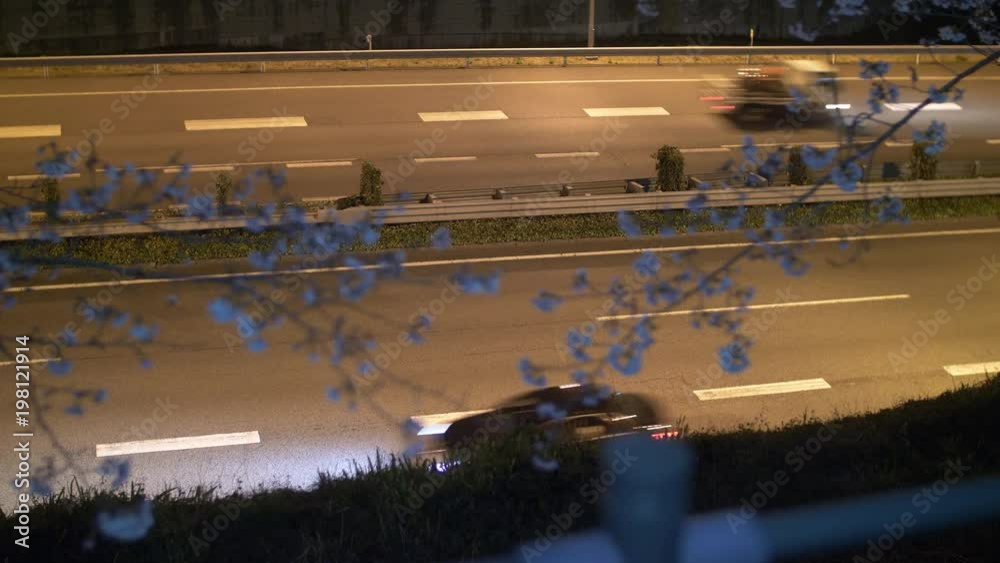 Cherry Blossoms Swaying in the Wind with Traffic on the Highway in the Background