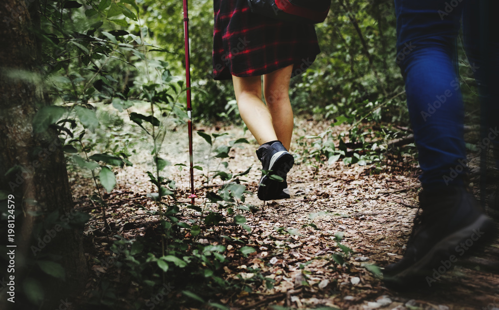 Trekking in a forest with friend Trekking in a forest with friend