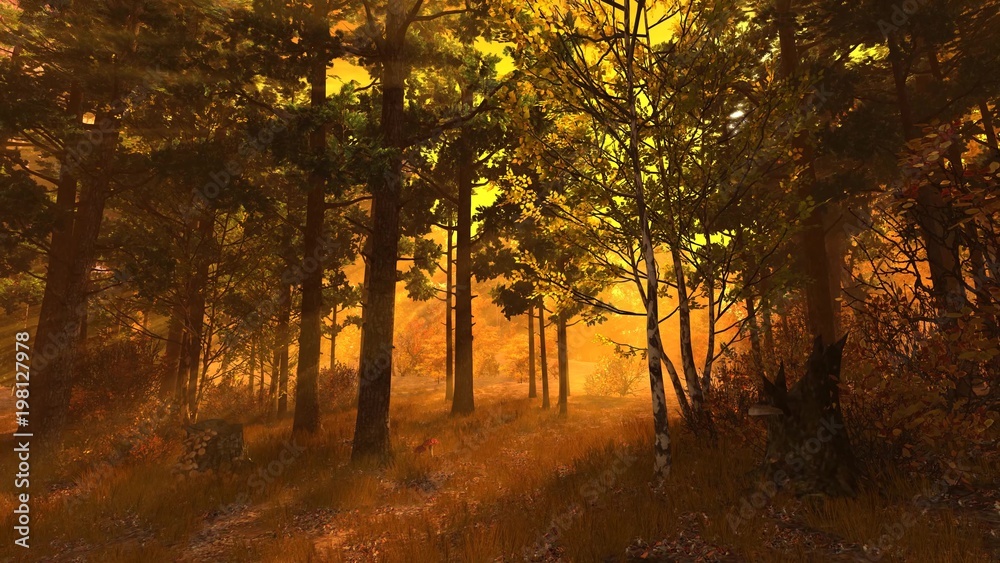 Autumn forest 004