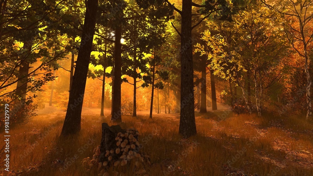 Autumn forest 005