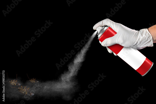 spray can of insecticide photo