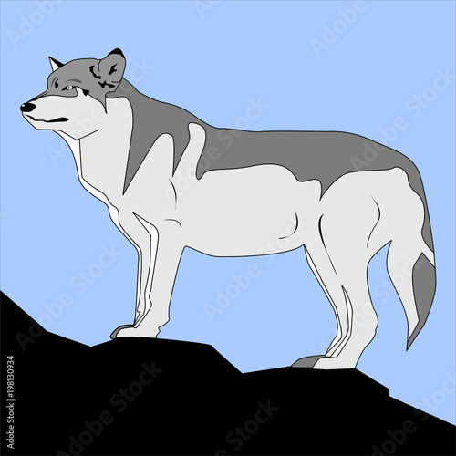 Fotografie Dire Wolf
