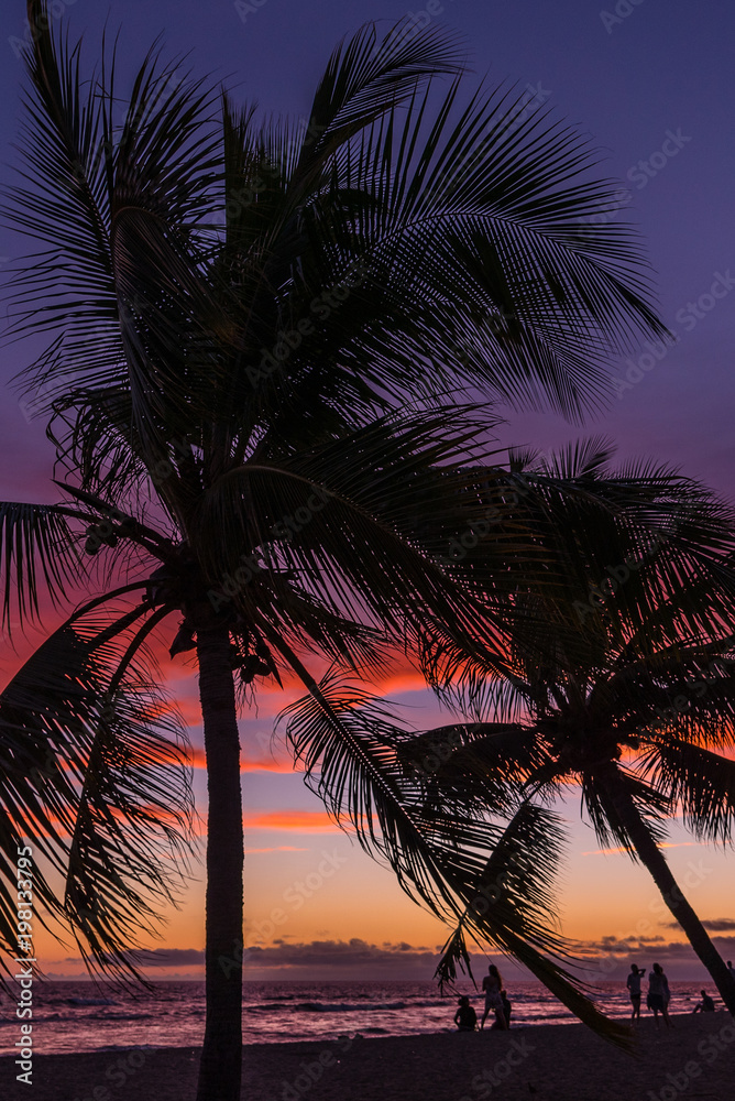 Fototapeta premium People on beach watching sunset