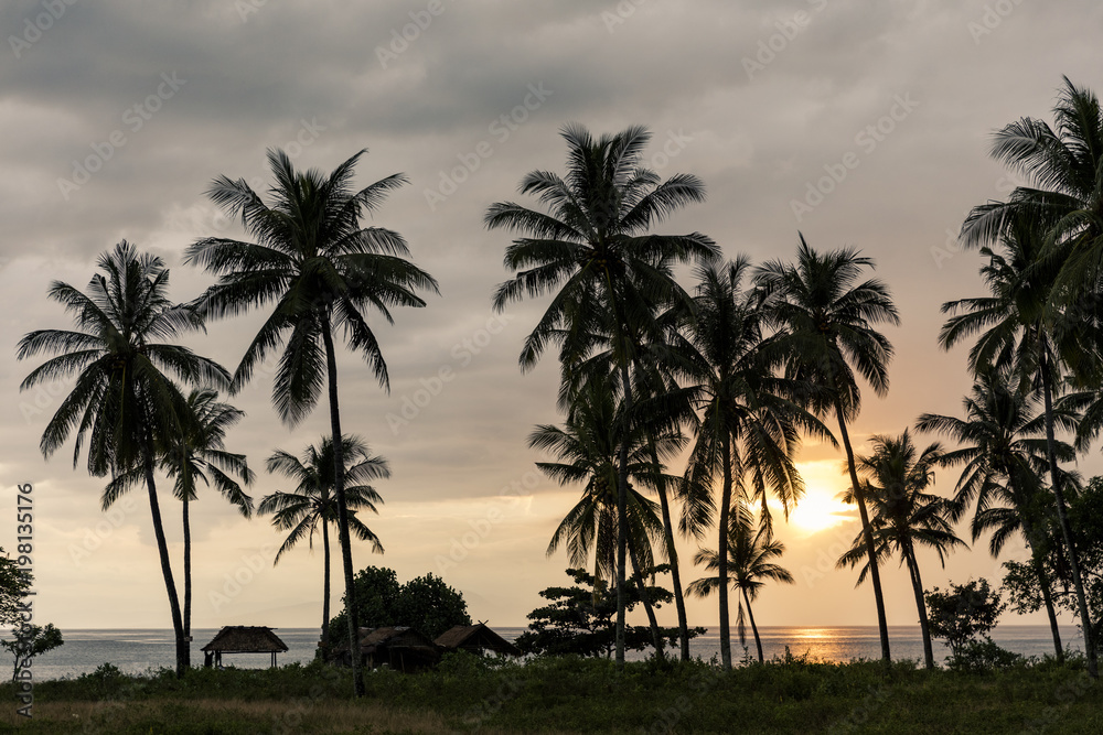 Balinese sunset with palm trees and beach huts