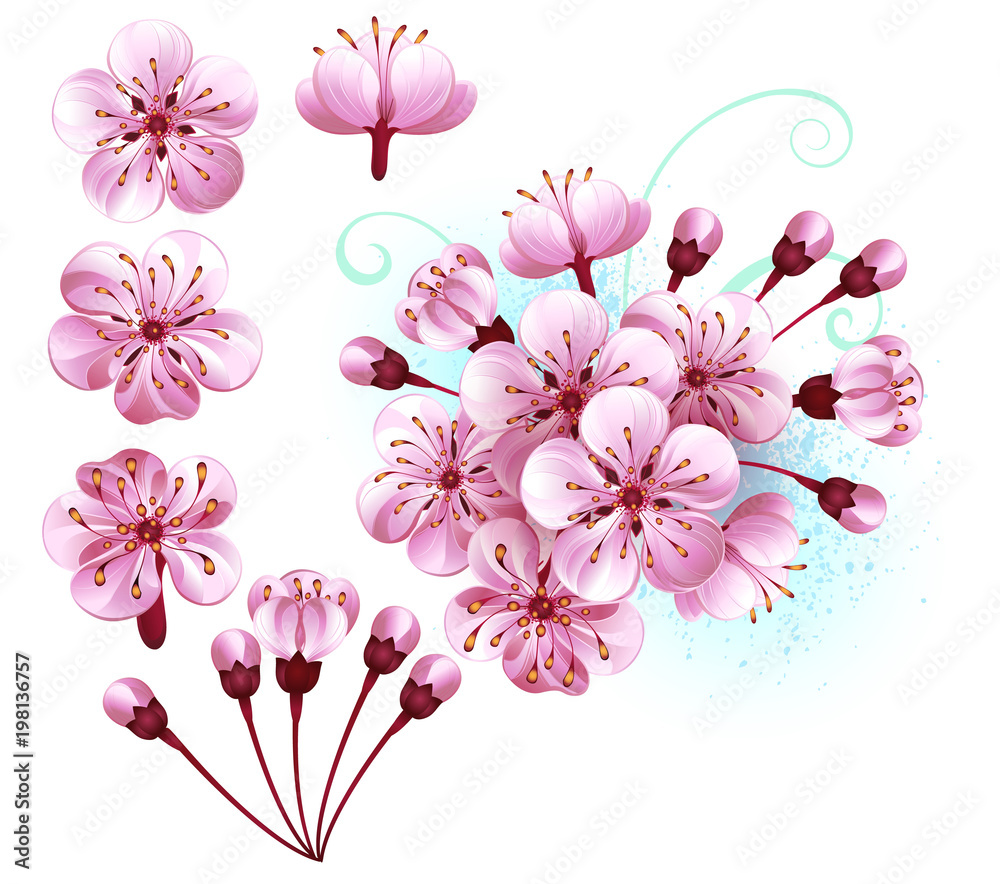 Set of sakura flowers Set of sakura flowers