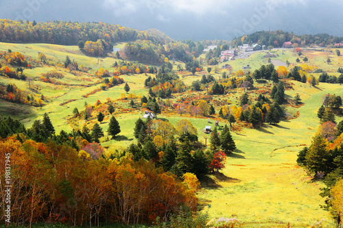 Autumn scenery of colorful forests and green grassy meadows in a valley under bright sunshine in Shiga Kogen ( Highlands ) National Park, Nagano, Japan