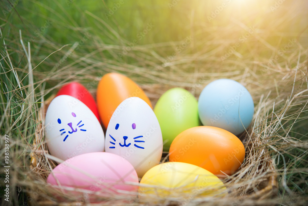Colorful Easter eggs in the basket on grass field