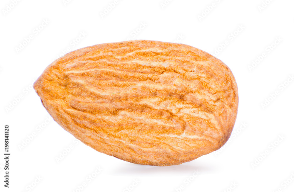 One whole almond macro isolated on white background One whole almond macro isolated on white background