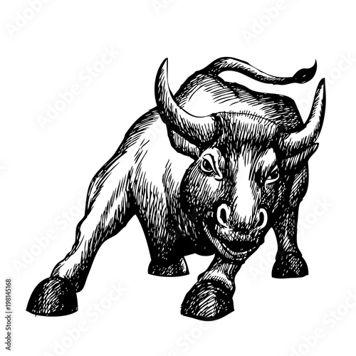 freehand sketch illustration of charging bull