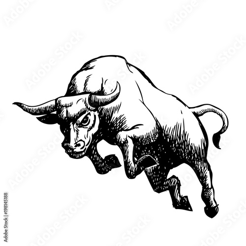 freehand sketch illustration of charging bull