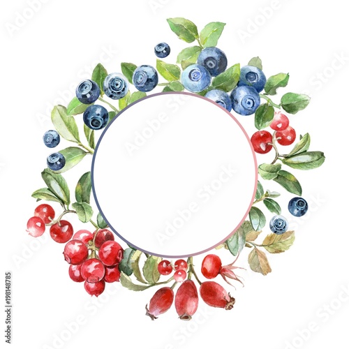 watercolor berry frame