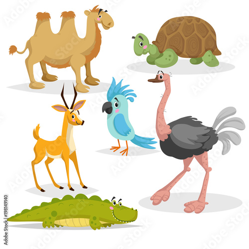 Fototapeta Naklejka Na Ścianę i Meble -  African animals cartoon set. Gazzelle anthelope, crocodile, bactrian camel, big african turtle, parrot and ostrich. Zoo wildlife collection. Vector illustrations isolated on white background.