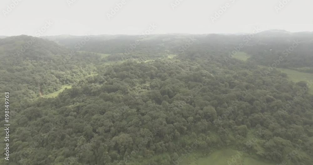 A cinematic aerial view of lush green fields and misty clouds. A cinematic aerial view of lush green fields and misty clouds.
