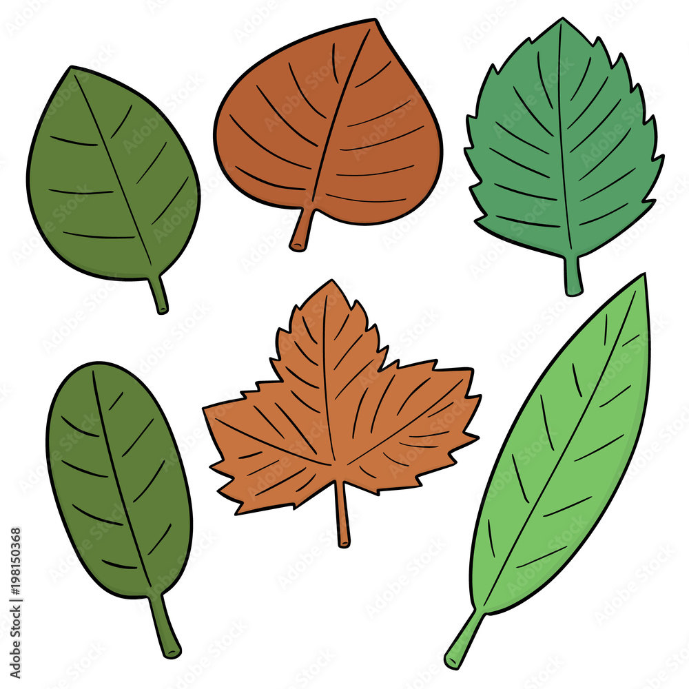 vector set of leaves