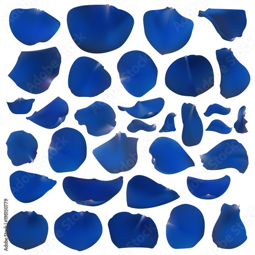A set of bright blue rose petals. Floral design. Beautiful collection of flowers vector illustration.